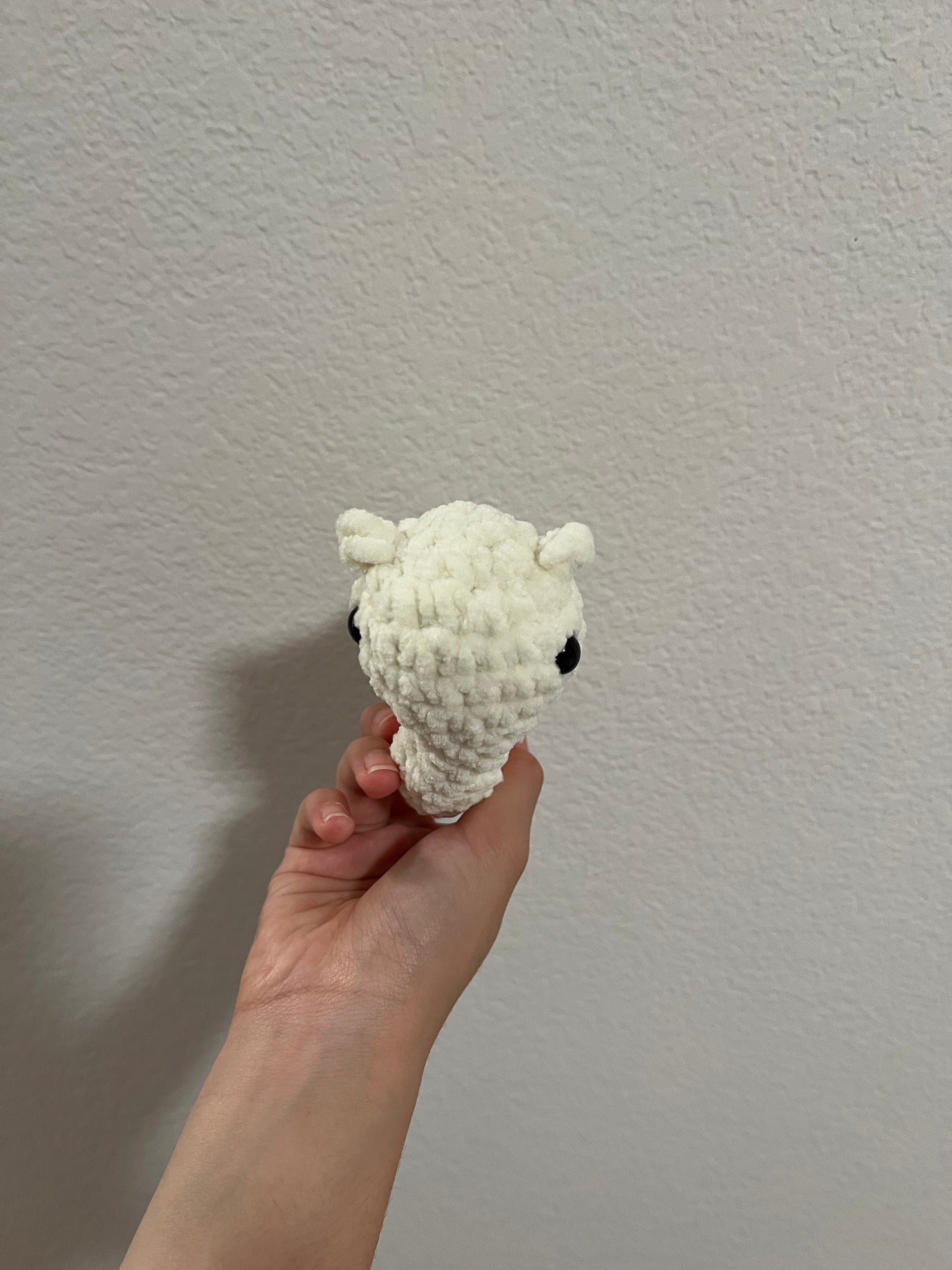 Special Snail