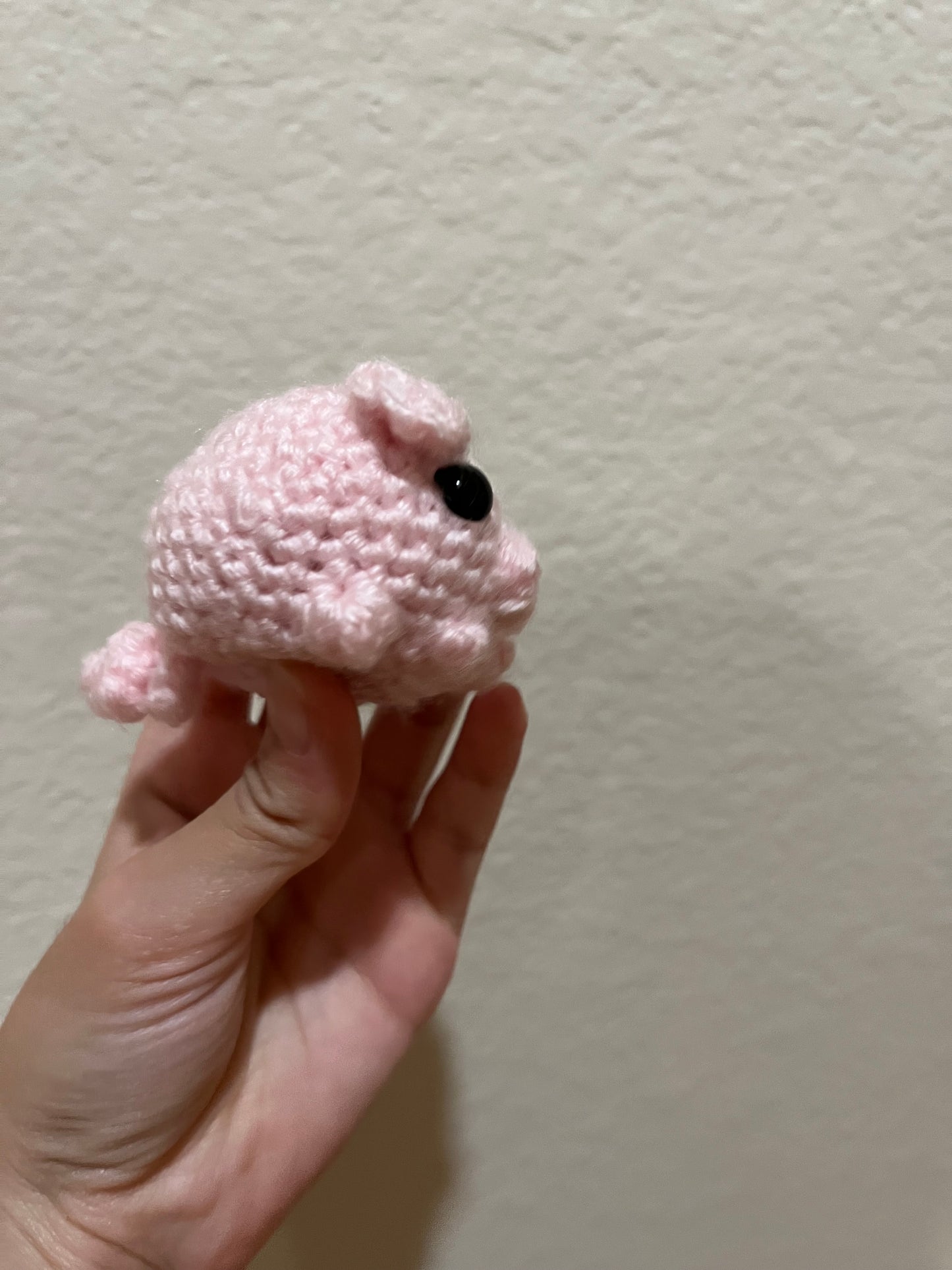 Cute Miniature Piggy