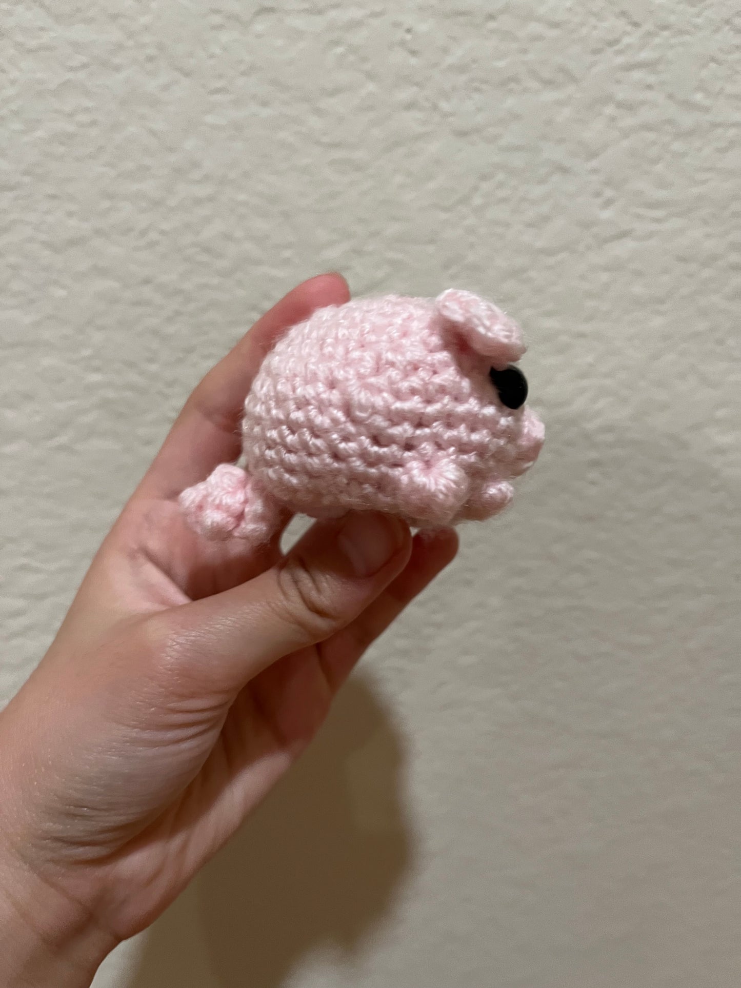 Cute Miniature Piggy