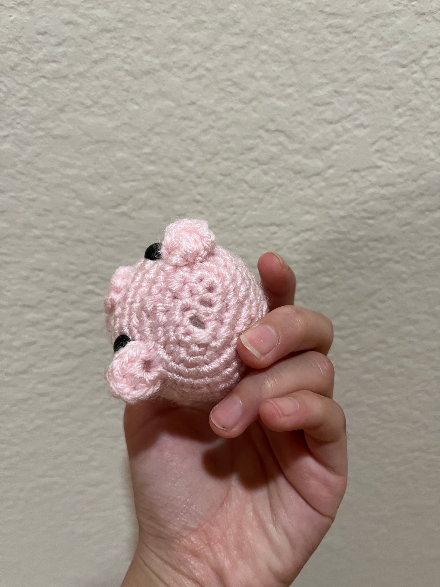 Cute Miniature Piggy